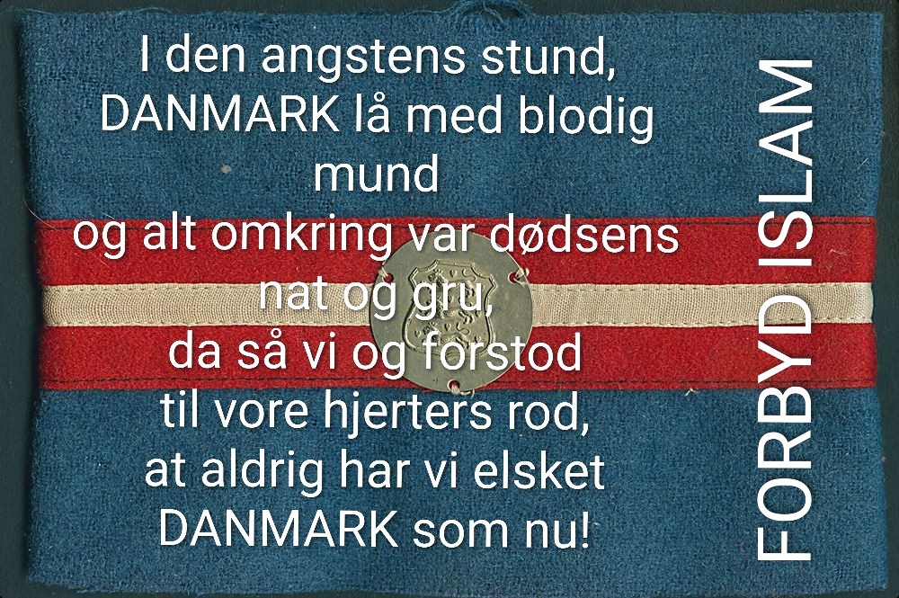 danmark-frihedskaemper-armbind-med-metalemblem-velbevaret (2) (2)